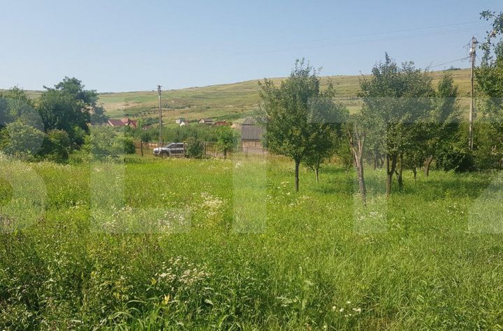 Teren de vanzare APAHIDA - Cluj anunturi imobiliare Cluj