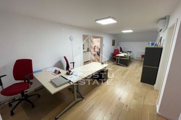 Vila P+M, finisata modern, curte amenajata, zona Modern-Crisan anunturi imobiliare Timis