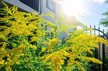 Casă - 5 camere de vanzare EXTERIOR EST - Brasov anunturi imobiliare Brasov