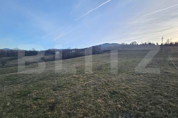 Teren de vanzare ABRUD - Alba anunturi imobiliare Alba