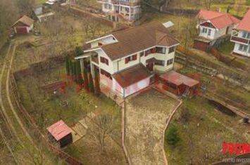 Vilă - 6 camere de vanzare CENTRAL - Bacau anunturi imobiliare Bacau