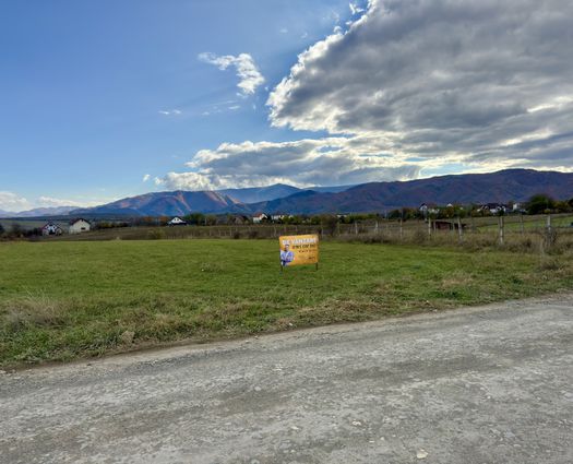 Teren Cisnadie, 1200 mp