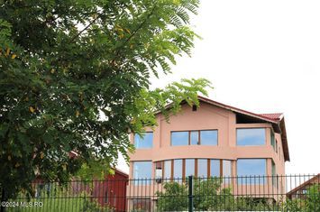 Ovidiu - Str. C 16, vila D+P+2E, lot 461 mp, 440 mp utili + demisol! anunturi imobiliare Constanta