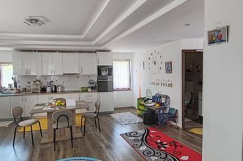 Vilă - 4 camere de vanzare BAIA SPRIE - Maramures anunturi imobiliare Maramures