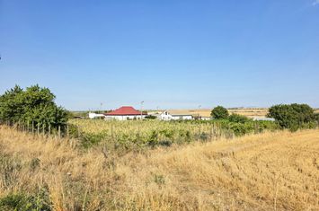 Spațiu industrial de vanzare OVIDIU - Constanta anunturi imobiliare Constanta