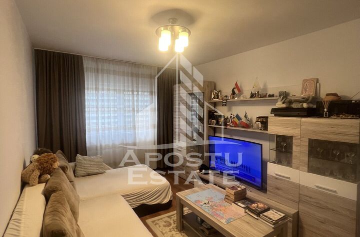 Apartament 3 camere modernizat anunturi imobiliare Timis
