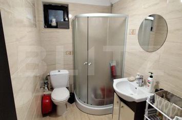 Vilă - 3 camere de vanzare ARONEANU - Iasi anunturi imobiliare Iasi