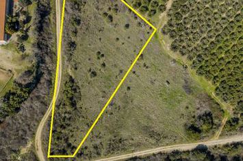 Teren agricol 4.305 mp în Kariani, la 350 m de plajă anunturi imobiliare Grecia