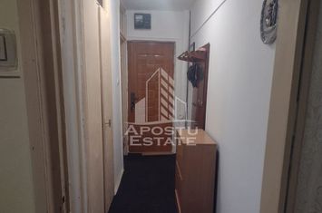 Apartament cu o camera, parter, centrala proprie, zona Dambovita anunturi imobiliare Timis