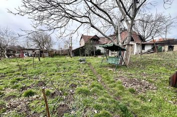 Teren de vanzare LES - Bihor anunturi imobiliare Bihor