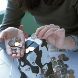 Cât economisim la un euro de 3,9 lei