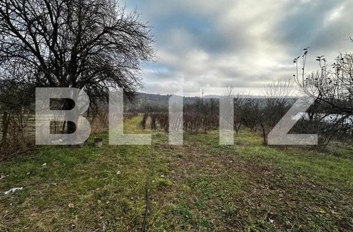 Teren de vanzare TARGU-JIU - Gorj anunturi imobiliare Gorj