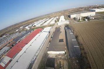Spațiu industrial de vanzare VETIS - Satu Mare anunturi imobiliare Satu Mare