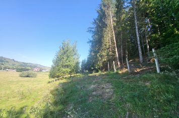 Teren de vanzare GURA HUMORULUI - Suceava anunturi imobiliare Suceava