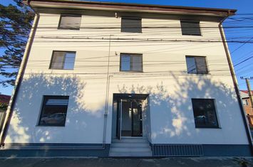 Spatiu comercial cu VAD auto | Cladire noua P+1 anunturi imobiliare Timis