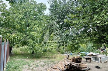 Teren 1084 mp in Dumbravita, vatra satului anunturi imobiliare Timis