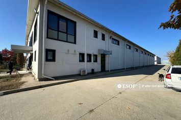 Spațiu industrial de inchiriat CHITILA - Bucuresti anunturi imobiliare Bucuresti