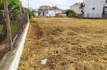Teren construibil 660 mp în Irakleia Serres anunturi imobiliare Grecia