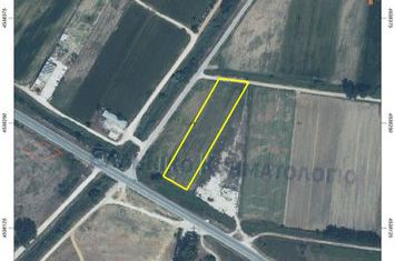 Teren construibil 4.600 mp, intrare Chrysoupoli Nestos anunturi imobiliare Grecia