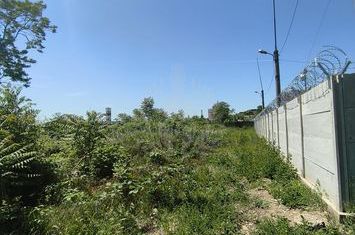 TEREN DE INCHIRIAT ZONA VALUE CENTER SUD anunturi imobiliare Prahova