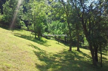 Teren de vânzare în Comarnic (zona Posada) anunturi imobiliare Prahova