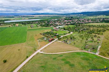 Teren Extravilan de vanzare EXTERIOR EST - Covasna anunturi imobiliare Covasna