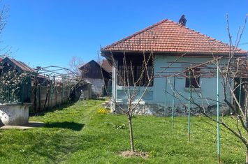 LICITAȚIE PUBLICĂ – IMOBIL CU POTENȚIAL TURISTIC ÎN ZONA MONTANĂ NOVACI – TEREN + CONSTRUCȚII anunturi imobiliare Gorj