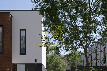 Vila A2 Modernă cu Finisaje Premium – Zona Titan-Pallady_P+1 anunturi imobiliare Bucuresti