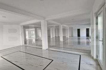 Spațiu comercial de inchiriat DUMBRAVITA - Timis anunturi imobiliare Timis