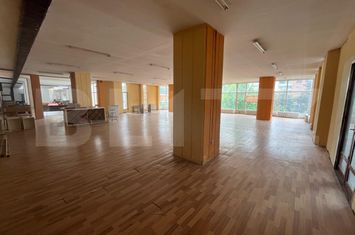 Spațiu comercial de inchiriat ROGERIUS - Bihor anunturi imobiliare Bihor