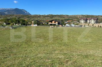 Teren de vanzare BRAN - Brasov anunturi imobiliare Brasov