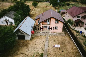 Vila superba la intrare în Horlesti anunturi imobiliare Iasi