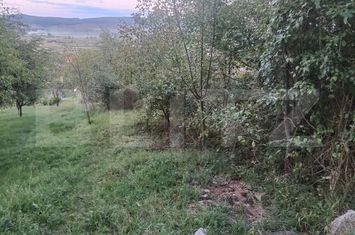 Teren de vanzare AIUD - Alba anunturi imobiliare Alba