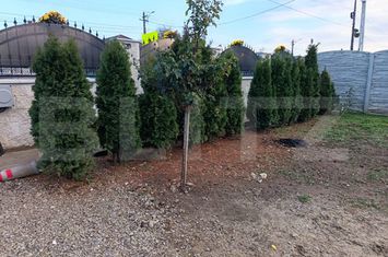 Casă - 3 camere de vanzare MAGURELE - Prahova anunturi imobiliare Prahova