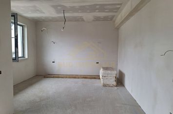 CASA INDIVIDUALA P+1-TEREN 250 MP-MIRASLAU anunturi imobiliare Bucuresti