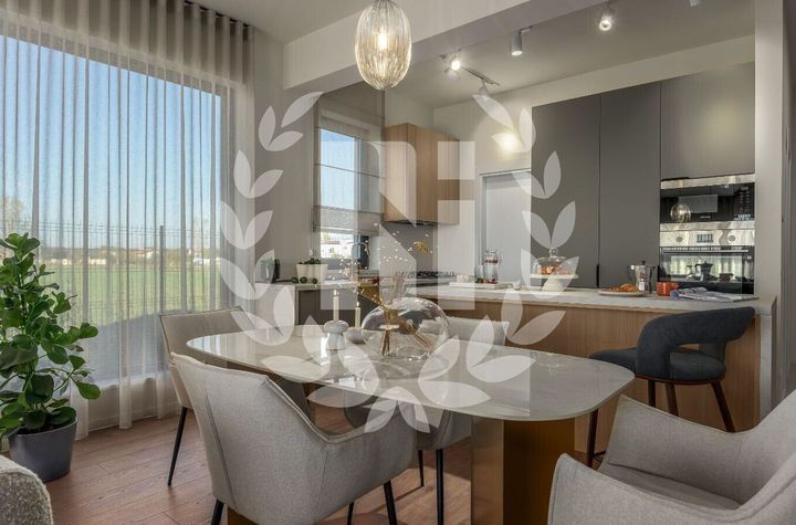 VILA 4 CAMERE BALOTESTI anunturi imobiliare Bucuresti