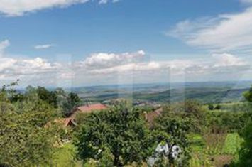 Teren de vanzare FELEACU - Cluj anunturi imobiliare Cluj