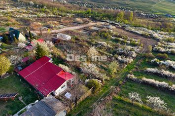 Teren de vanzare VISANI - Iasi anunturi imobiliare Iasi