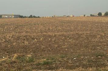Vand teren intravilan Branesti 2500 mp, pret 70 euro/mp anunturi imobiliare Bucuresti