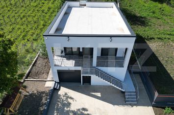 Vilă - 4 camere de vanzare IASI - Iasi anunturi imobiliare Iasi