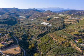 Teren construibil 11.875 mp, 450 m de plajă — Folia anunturi imobiliare Grecia