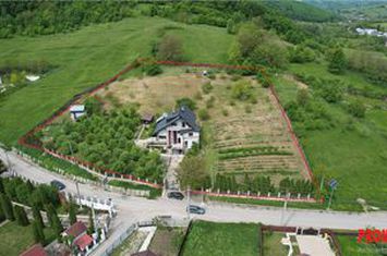 Vilă - 8 camere de vanzare CENTRAL - Bacau anunturi imobiliare Bacau