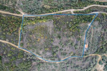Teren 10.500 mp, Paralia Folias, 300 m de mare anunturi imobiliare Grecia