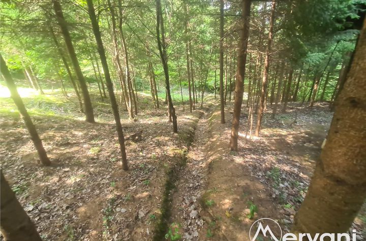 Casă - 12 camere de vanzare CENTRU - Prahova anunturi imobiliare Prahova
