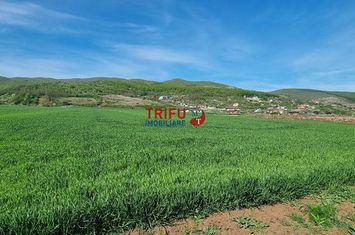 Teren Intravilan de vanzare CENTRAL - Alba anunturi imobiliare Alba