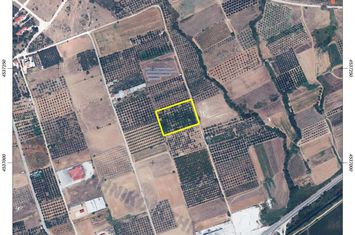 Teren construibil 6.750 mp în Petropigi anunturi imobiliare Grecia