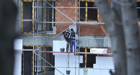 Preţul pentru înlăturarea bulinei roşii - peste 99 de euro/mp