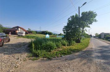 Teren Intravilan de vanzare STUPINI - Brasov anunturi imobiliare Brasov