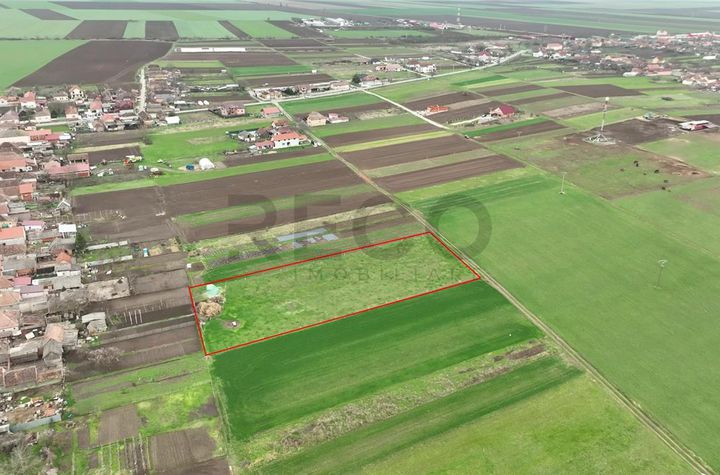 Teren Intravilan de vanzare GIRISU DE CRIS  - Bihor anunturi imobiliare Bihor