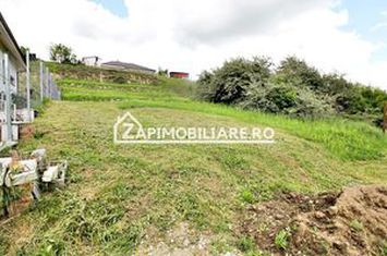 Teren Intravilan 806 mp.60 euro mp Valea Iubirii anunturi imobiliare Mures